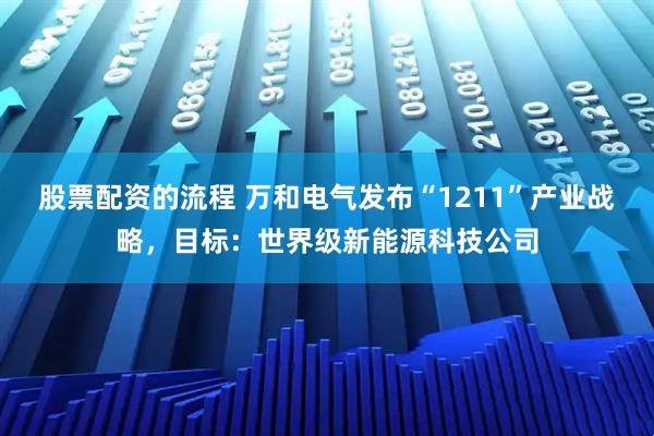 股票配资的流程 万和电气发布“1211”产业战略，目标：世界级新能源科技公司