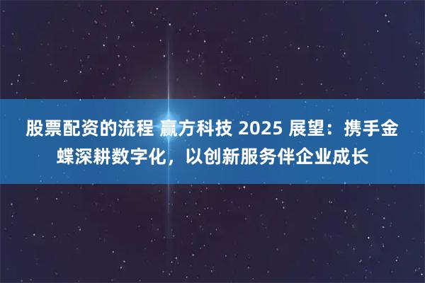 股票配资的流程 赢方科技 2025 展望:携手金蝶深耕数字化,以创新服务伴企业成长