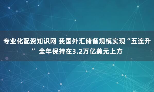 专业化配资知识网 我国外汇储备规模实现“五连升” 全年保持在3.2万亿美元上方