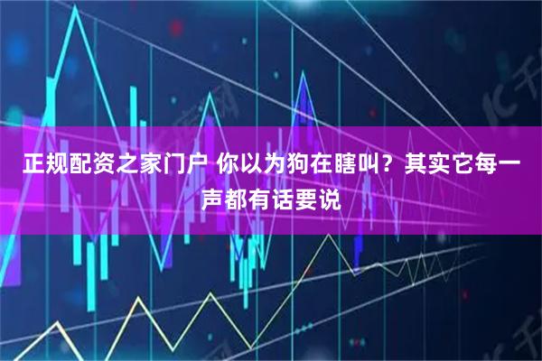 正规配资之家门户 你以为狗在瞎叫？其实它每一声都有话要说